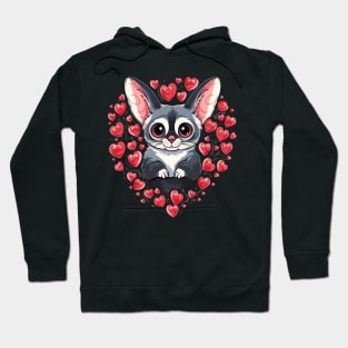 Sugar Glider Valentine Day Hoodie